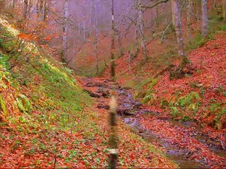 GÜNGÖR YILDIZ  ### SİDİKSA SERİ-5 ### -