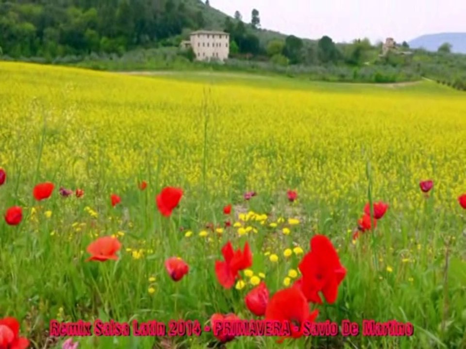 REMIX 2014 HIT MANIA ESTATE Remixed Disco DJ Reprise - PRIMAVERA (Versione Salsa) - Savio De Martino