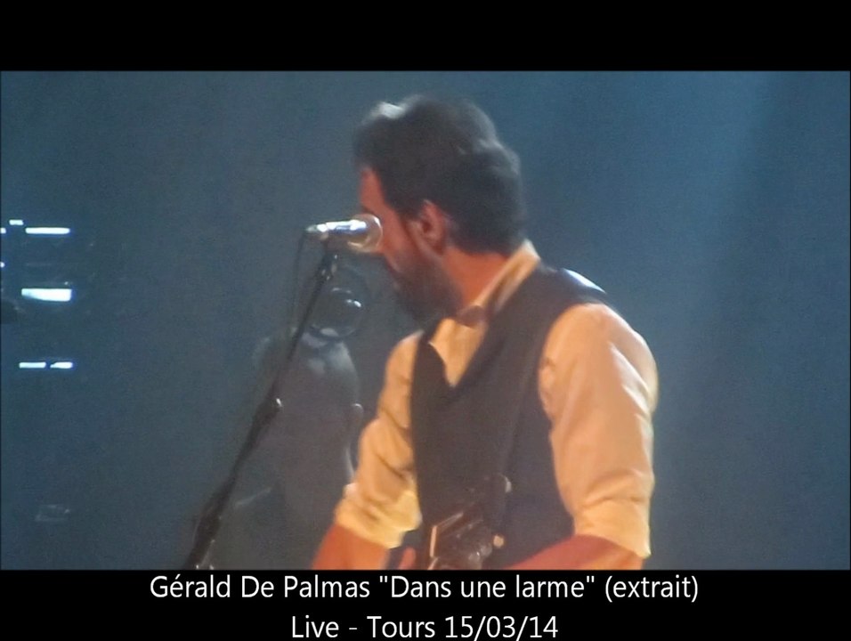 Gérald de Palmas - live à Tours le 15/03/14