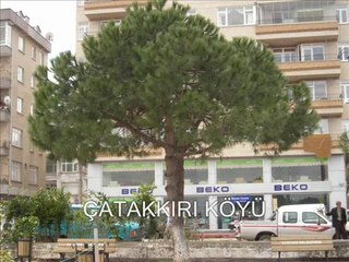 GÜNGÖR YILDIZ.  KURDUN YUVALARINI-AYDIN GÜNER -