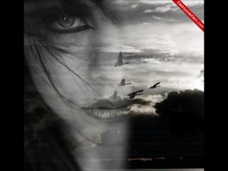 Gözlerime Bak Anlarsın - Uğur Türkkanı