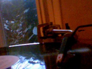 SHO-NUFF-  it's alright  81