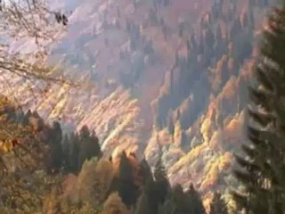 GÜNGÖR YILDIZ ..Ziy Sönmez