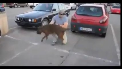 DOG GOES CRAZY when Soldier comes HOME