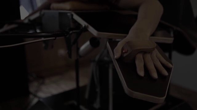 Amazing Bird flight simulator : Birdly - Oculus Rift