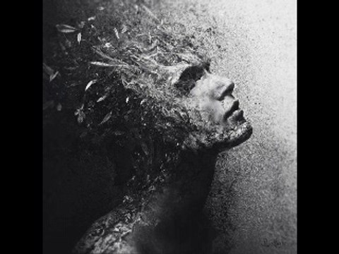 Leyla Özlem Demir - Yalnızlık üzerine