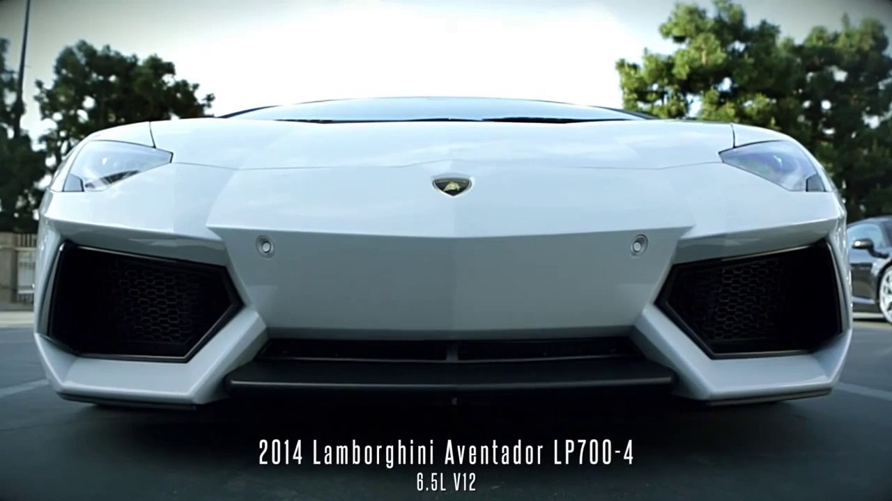 33 Exotic & Classic Cars Roar to Life (Engines Revving)