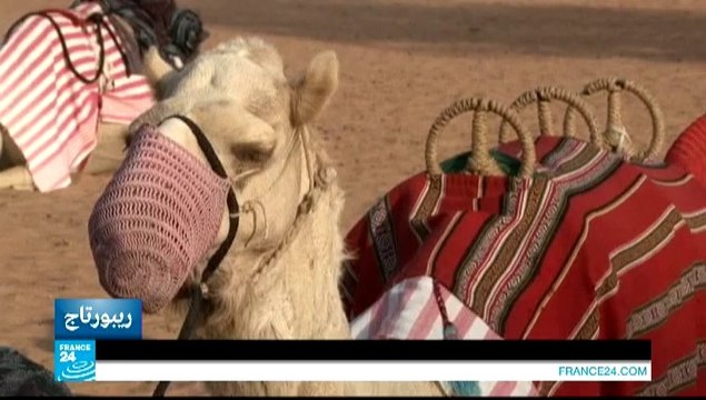 10/05/2014 في عمق الحدث المغاربي - 10/05/2014 في عمق الحدث المغاربي