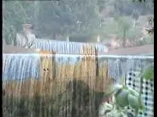 عبـيـدات الرمى
