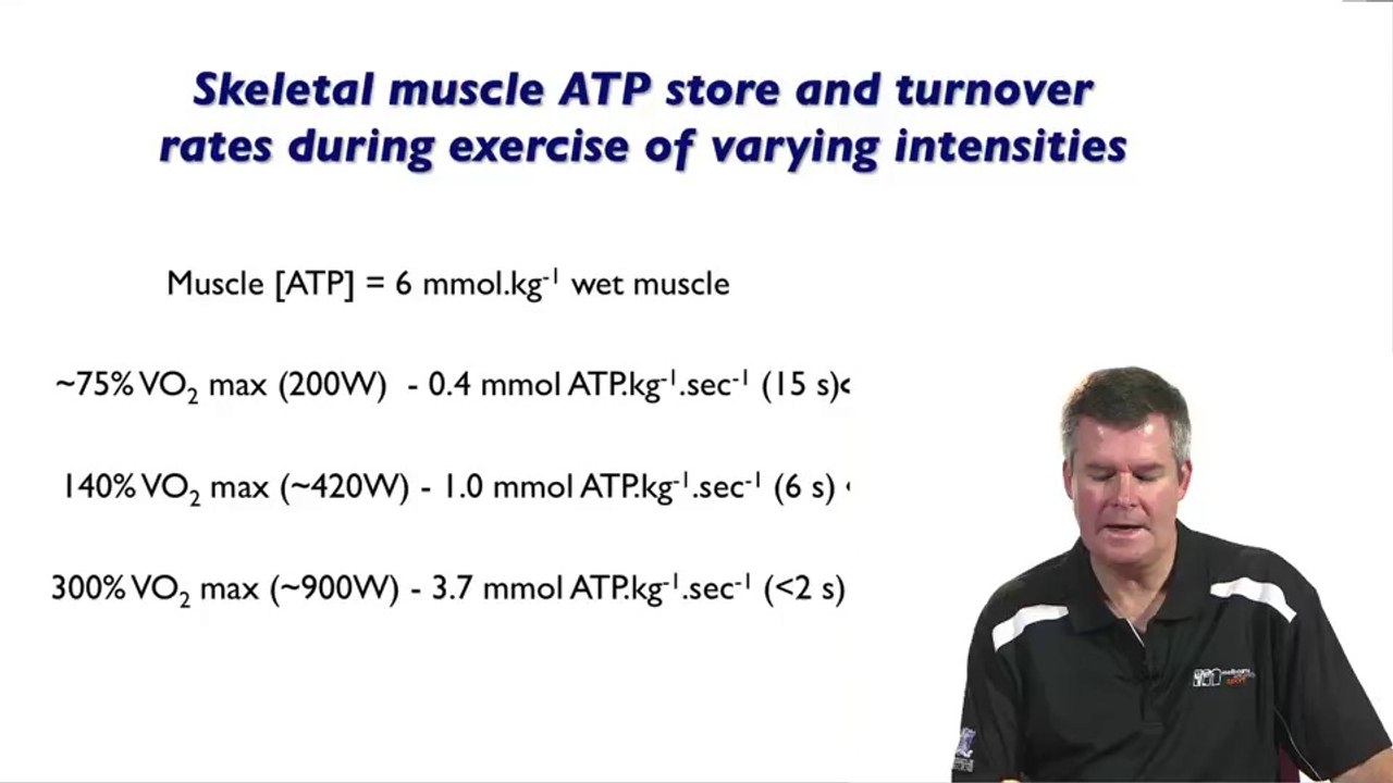 Muscle Contraction & Energetics