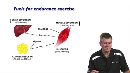 Fuels for Exercise