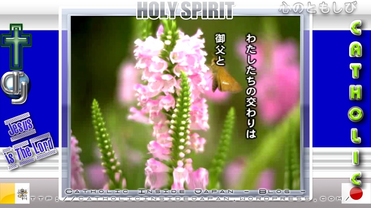 枯松神社物語。