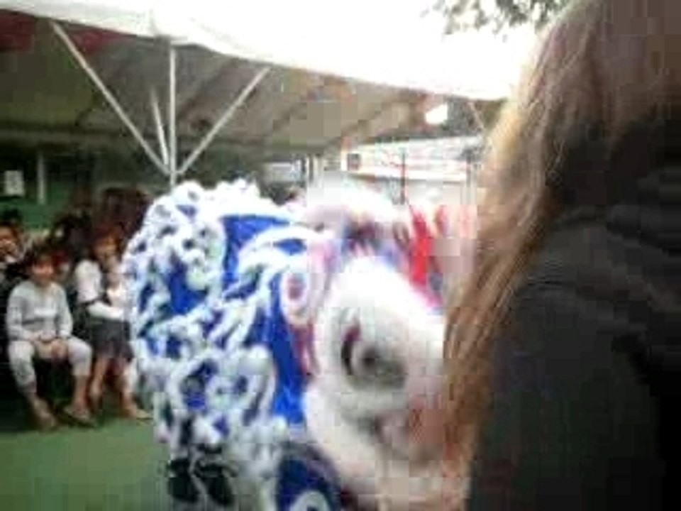 St Denis danse lion chinois