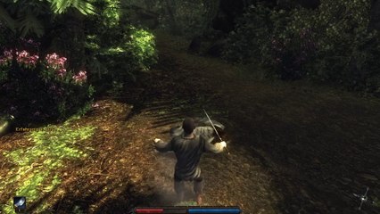 Risen Dailymotion Test