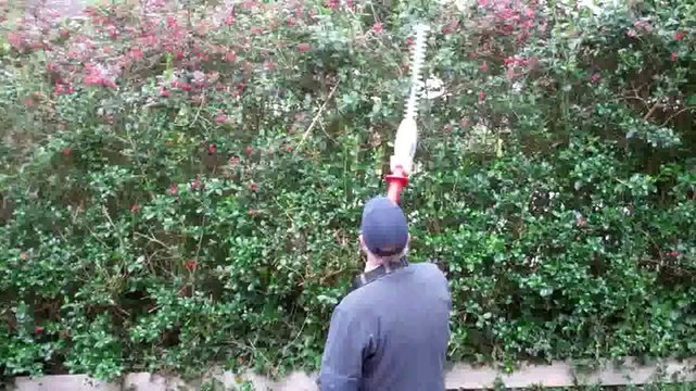 Ikra Flexotrim ATHS-2440 24V Lithium Ion Cordless Long Reach Hedge Trimmer Review