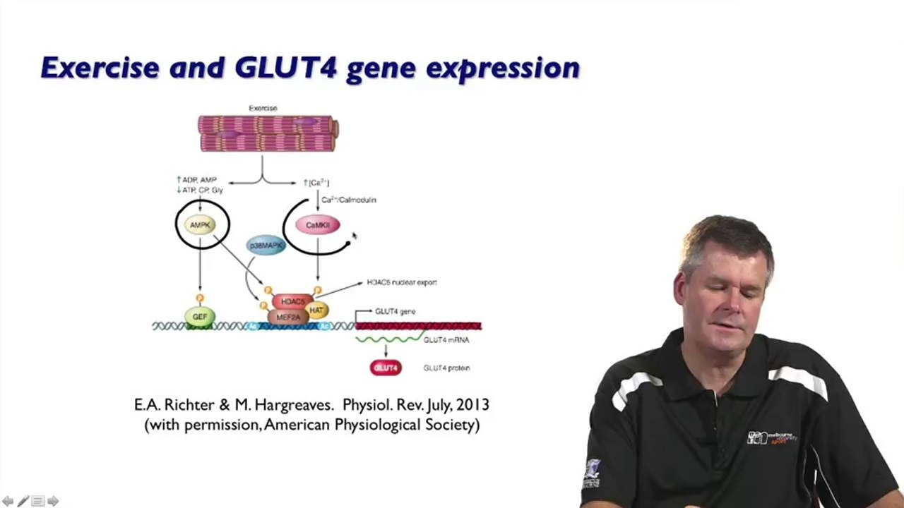 Genes & Exercise Performance