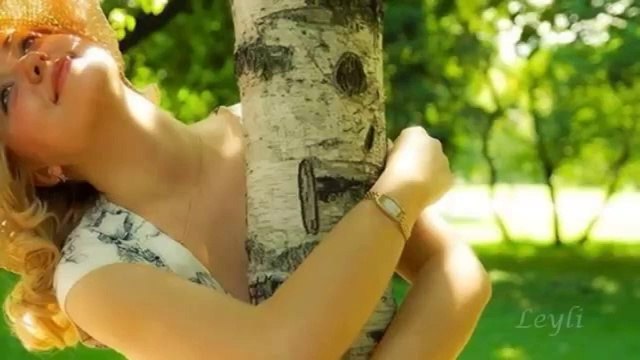 Neşe Karaböcek - Artık Sevmeyeceğim