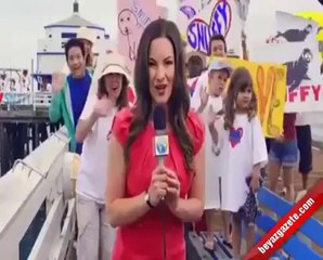 Denize Bırakılan Fok Balığını Köpekbalığı Havada Kaptı!