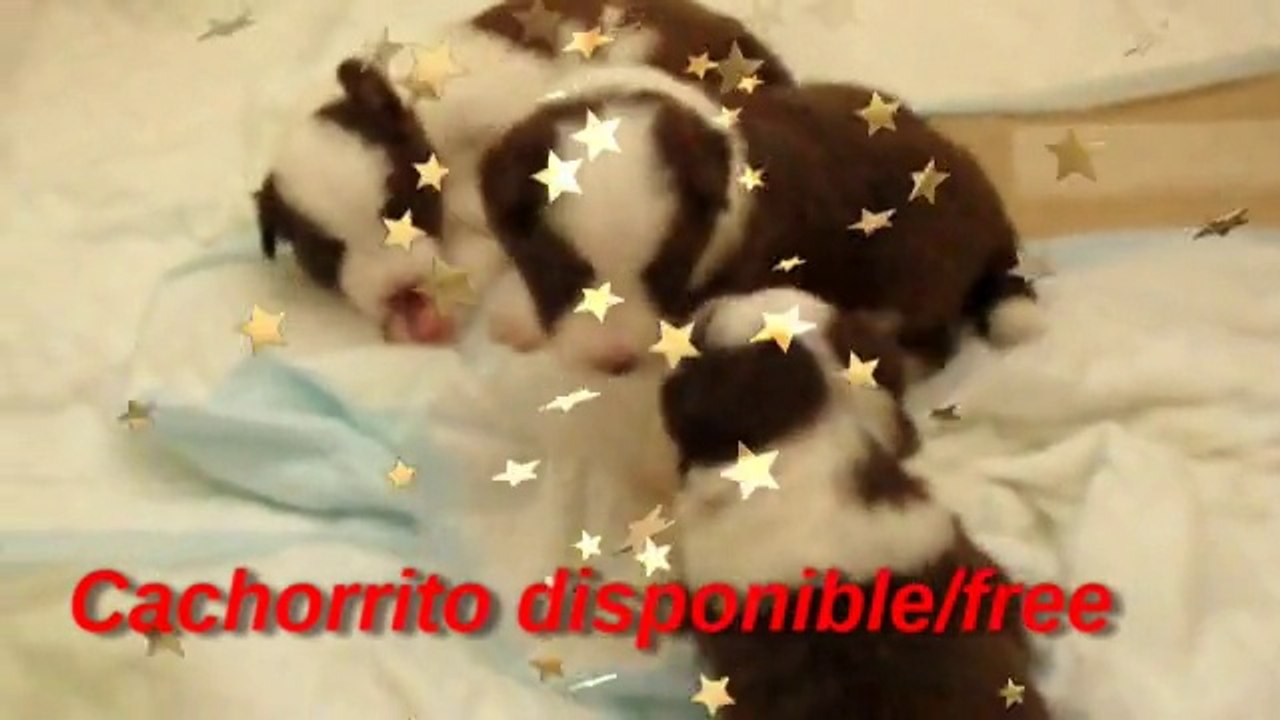 20 días y viento en popa....