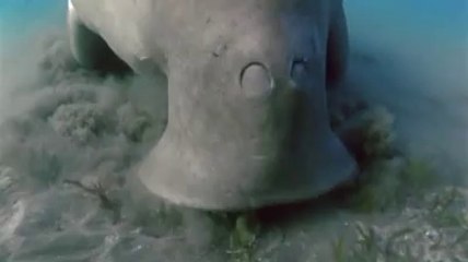 부평건마《아찔한밤》추천abam③net성남건마가격∠≤