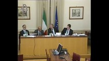 Roma - Audizioni su efficienza energetica (08.05.14)