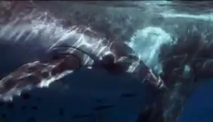 도봉오피걸는 『아밤』검색 이수오피걸 가산오피걸