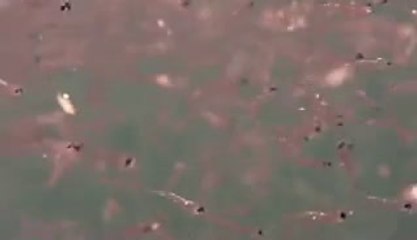 시흥오피걸는 『아밤』검색 신설동오피걸 수원영통오피걸