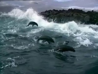 ~ Kainatın Zikri... ( PAYLAŞALIM )