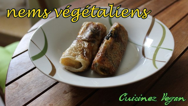 Recette végétalienne : Nems au soja et aux légumes