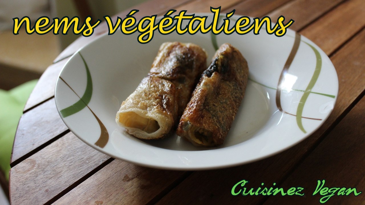 Recette végétalienne : Nems au soja et aux légumes
