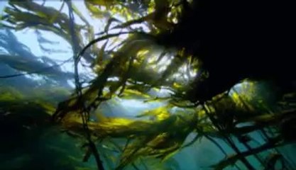 부평구오피걸는 『아밤』검색 단원구오피걸 계양오피걸