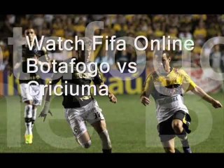 Live Criciuma vs Botafogo Online