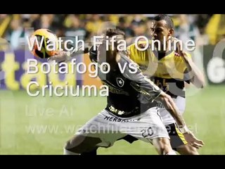 Live Criciuma vs Botafogo Broadcast