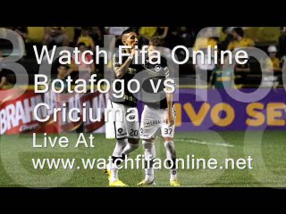 Criciuma vs Botafogo 10 MAY 2014