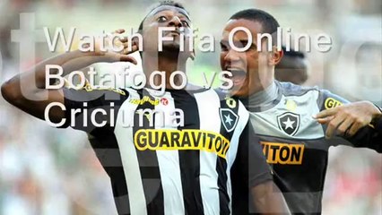 See Botafogo vs Criciuma Live