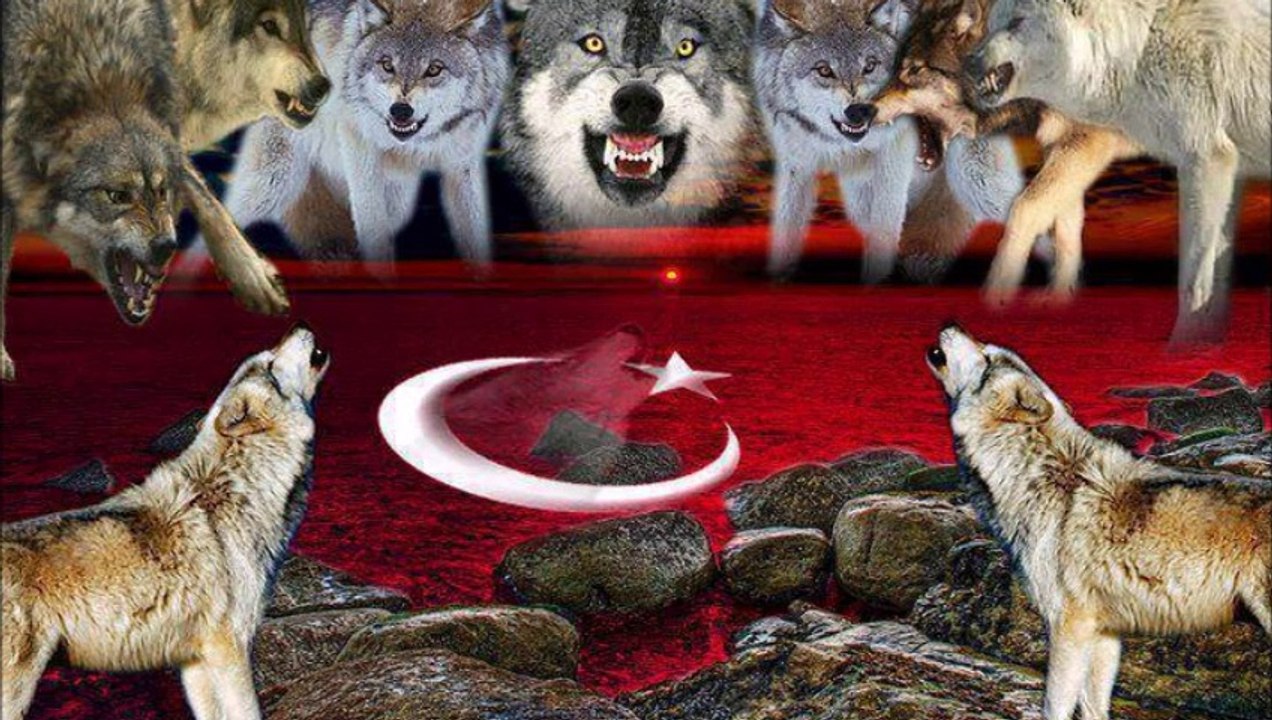 tekin