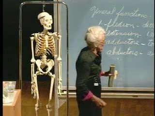 Lecture 02 - The Human Brain and Muscular System I