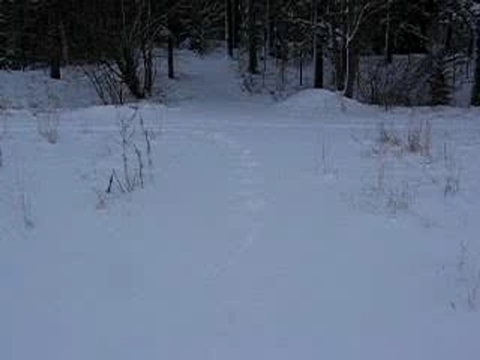 20070121 010