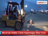 Mersin Sahiline Ölü 2 Deniz Kaplumbağası Vurdu