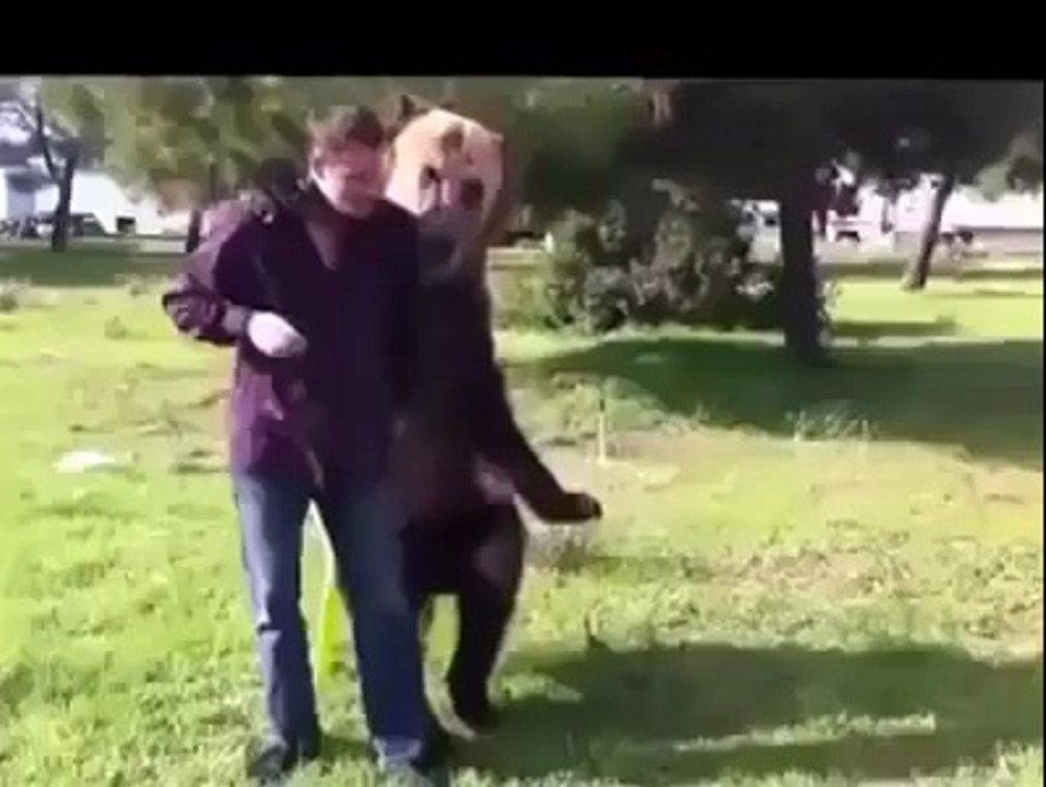 nice dancing beer.