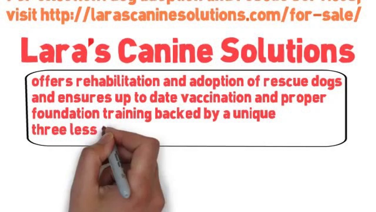 German Shepherd Breeding