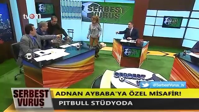 Canlı Yayına Pitbull Çıkarıp Koltuğa Oturtmak (Adnan Aybaba İçerir)