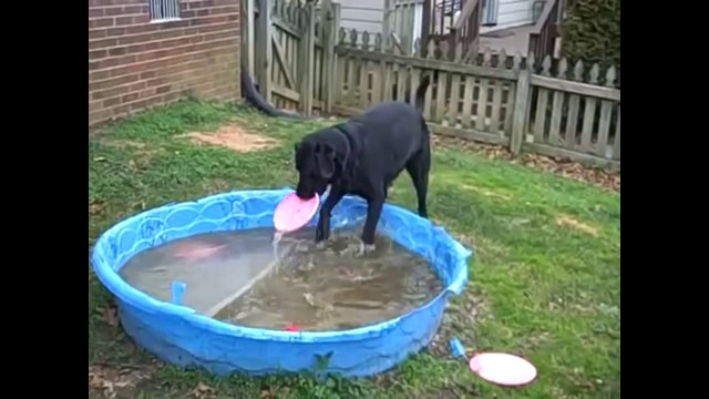 Funny Videos - Fail Compilation, Funny Pranks and Funny Clips Videos New Funny Video #5