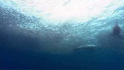 금정구건마걸《아찔한밤》추천abam③net신천건마걸가격∇￠