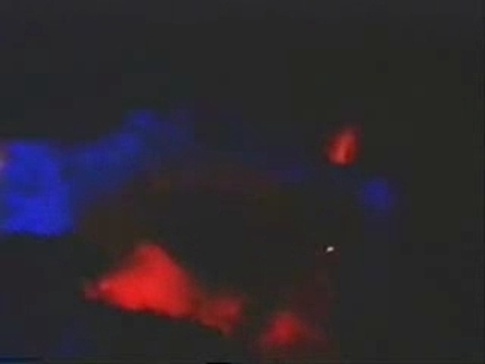 Space dltall onride