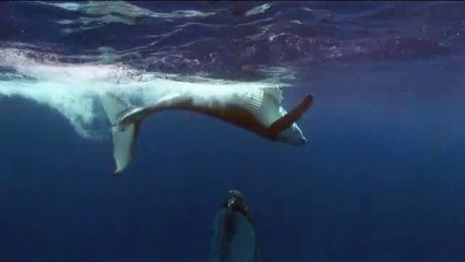 안산건마걸《아찔한밤》추천abam③net송도건마걸가격≥♀