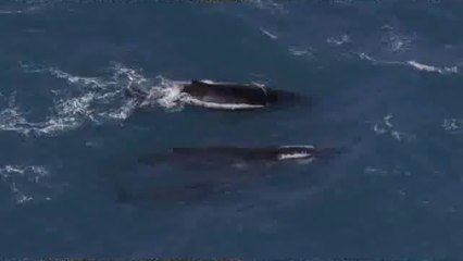 부천중건마걸《아찔한밤》추천abam③net역삼건마걸가격⇔￡