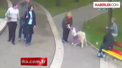 Kurt Çocuğa Böyle Saldırdı