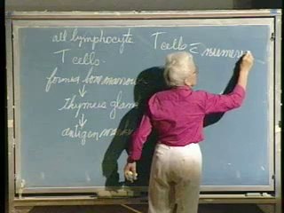 Lecture 11 - Hematology II