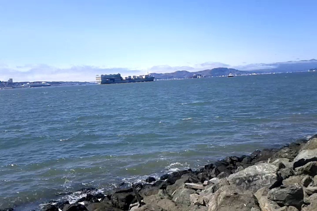 shipping on the bay by the polymathmarketer 2
